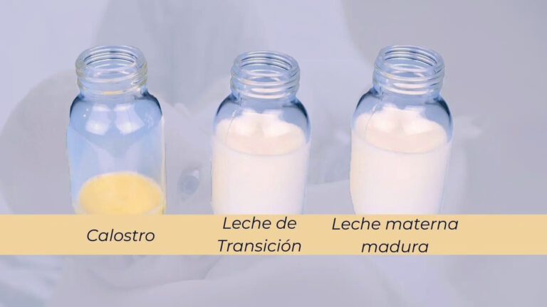 4 Tipos de leche materna - Lactancare - Lactancia Materna